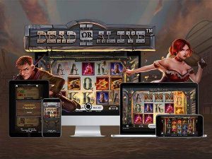 dead or alive slot machine demo mode free play